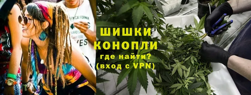 Бошки марихуана SATIVA & INDICA  Покачи 